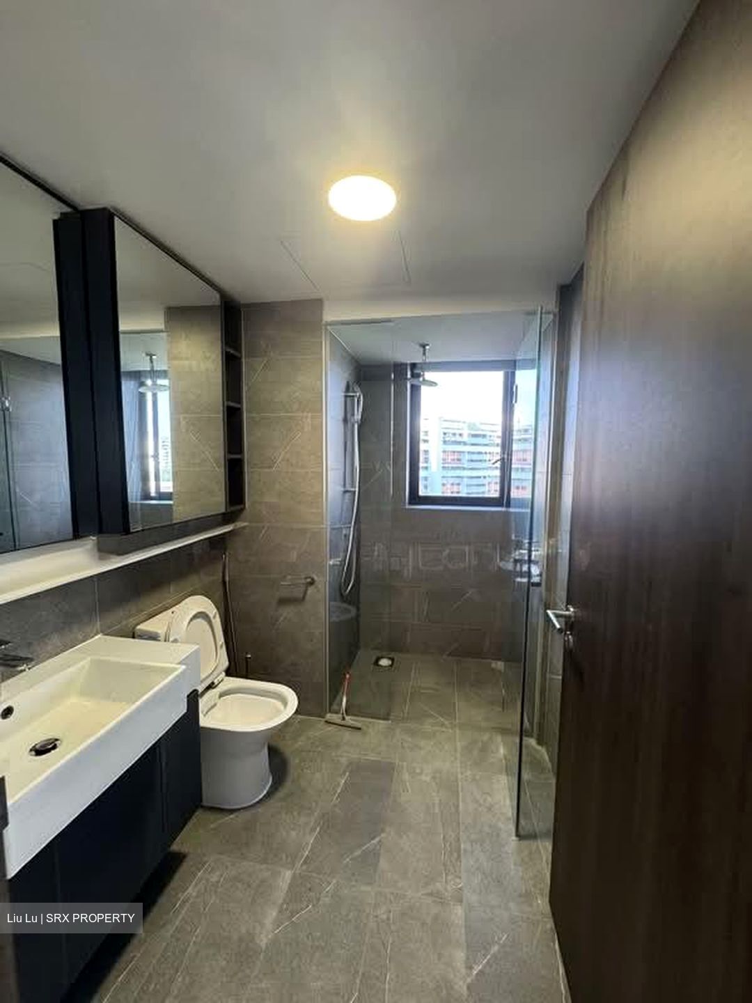 Riverfront Residences (D19), Apartment #537008091